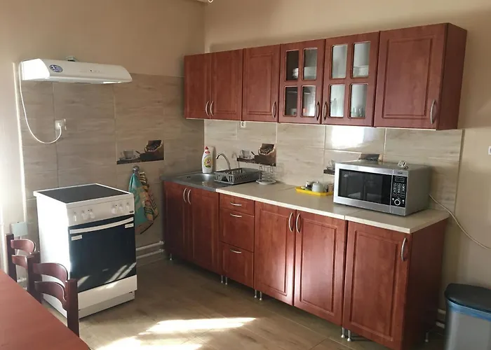 Pensiune Panda Vendegszallas 3*