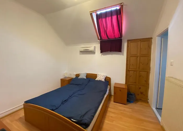 Pensiune Panda Vendegszallas 3*